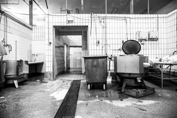 2014 02 19 Abattoir LuxeuilIMG 8717